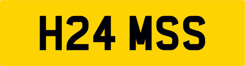 Hams number plate h24 mss - plate,