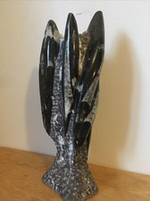 Giant Orthoceras Fossil Statue Interior Design