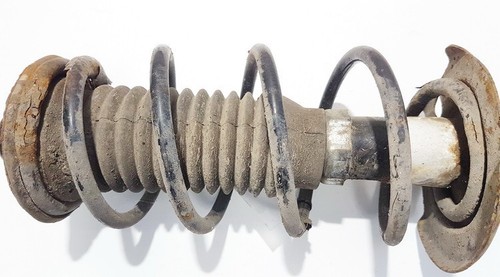 Front suspension spring - ,