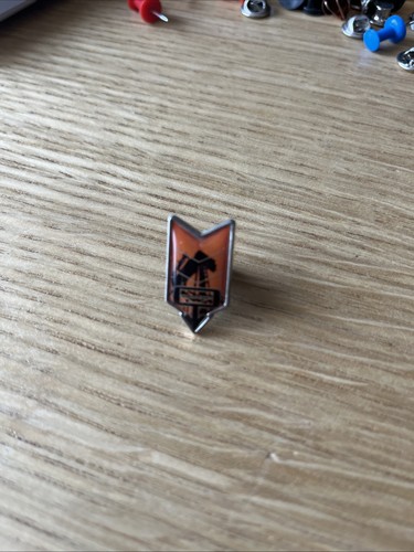 Alton towers oblivion - oblivion, pin