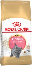 Royal Canin| British Shorthair