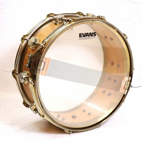 Collectors edge curly maple - dw,