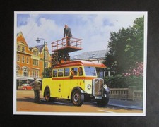 9.20" x  7.20"  MALCOLM ROOT