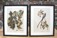 Vintage Mid Century Framed
