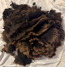 Raw Wool Fleece Shetland 1 lb