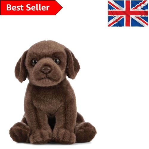 Educational 16cm chocolate - educational,