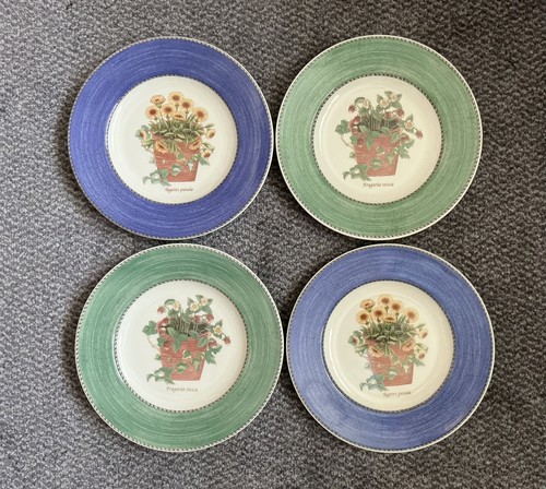 Wedgwood sarah garden - wedgwood,