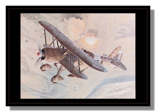 Fiat cr42 biplane italian - cr42,