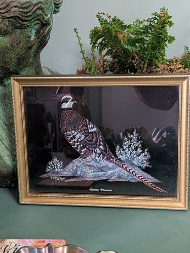 Vintage reeves pheasant framed - reeves,
