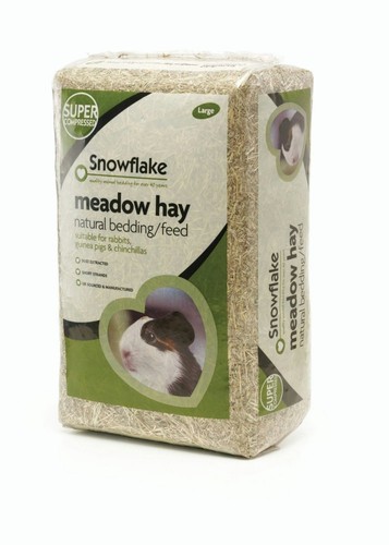Snowflake large compressed - snowflake,