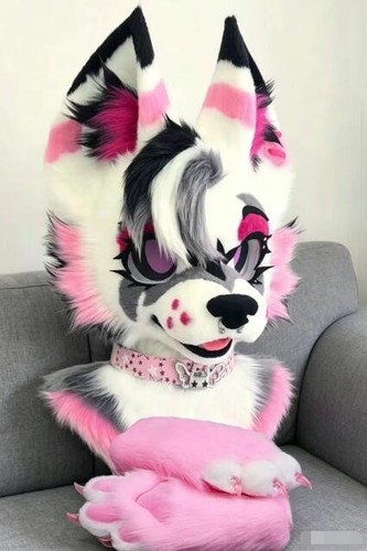 Fursuit long haired dog fox - dog,