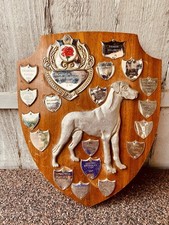 🏆 Trophy Shield 11”