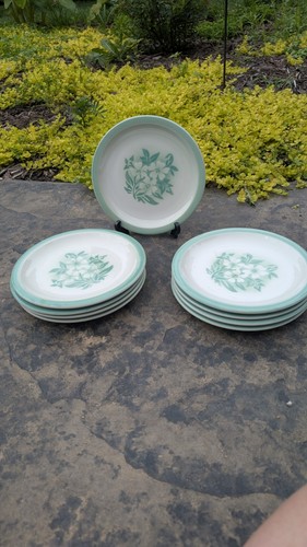 Millbrook syracuse china - 9,