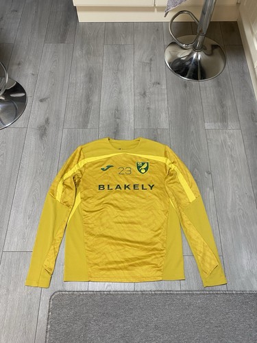Norwich city match worn kenny - norwich,