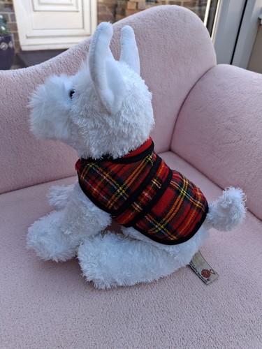 Keel white scottie dog terrier - keel,