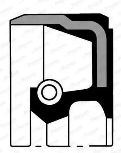 Crankshaft seal ring fpm - seal,