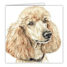 Apricot Poodle greetings card