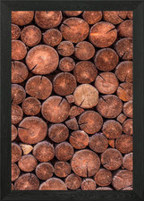 Wooden cut tree trunk Framed