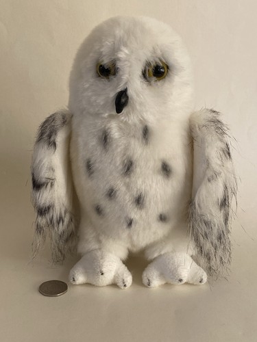 Douglas white snowy - , bird