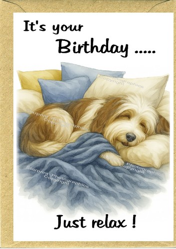 Bearded collie dog beardie - collie,