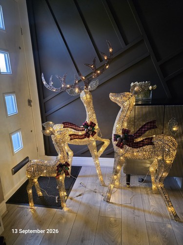 Lighted reindeer christmas - lighted,