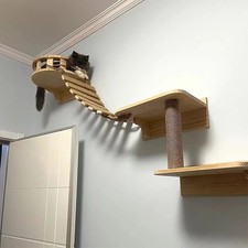Cat Climbing Ladder Bridge for