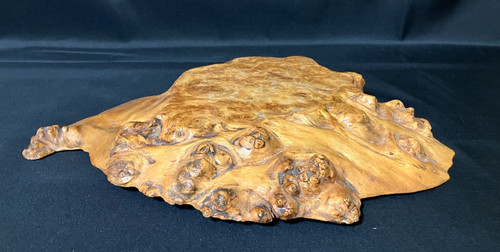 Japanese burl wood display - burl,