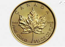 3.1g Gold Coin Canadian Maple Tenth Ounce 1/10oz 999 Bullion Investment Asset