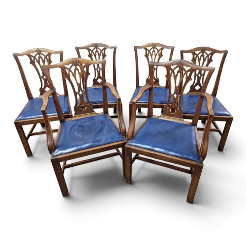 Hepplewhite dining chairs set - chairs,