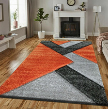 Modern Large Shaggy Rugs New