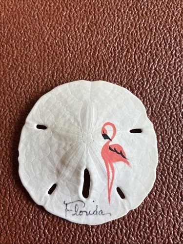 Hand painted sand dollar - hand,