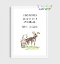 Chinese Crested Picture