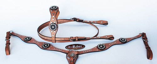 Show tack bridle - bridle, western