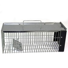 Rat trap squirrel heavy - rat, duty