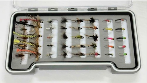 Barbless box the month - the,
