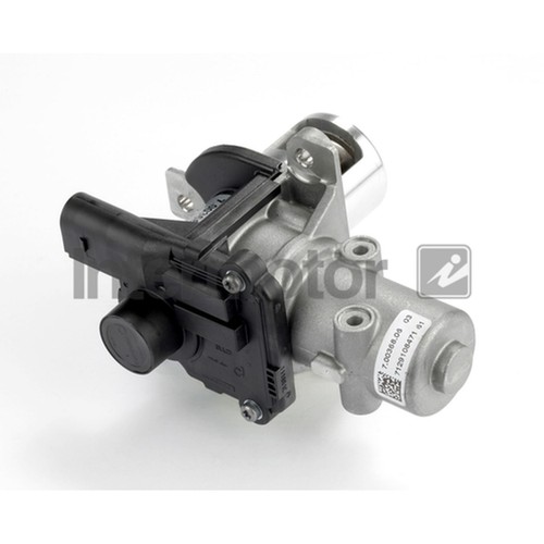 Egr valve for - valve,