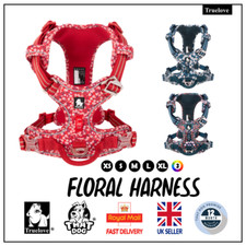 Dog Harness Truelove Floral
