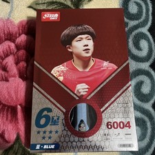 DHS 6004 New FL Table Tennis