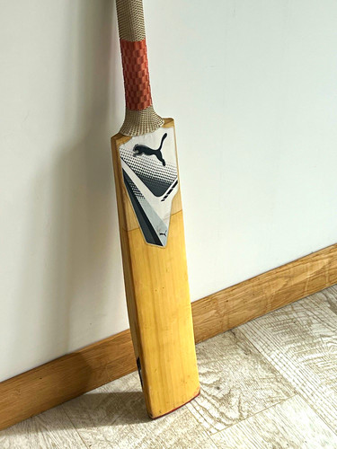 Gray nicholls english - english, willow