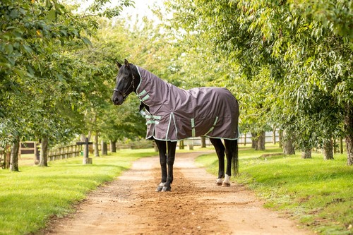 100g turnout horse - horse, rug