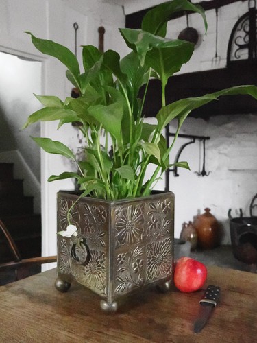 Arts and crafts brass planter - brass,