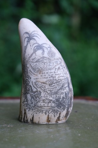 Faux scrimshaw composite - faux, whale