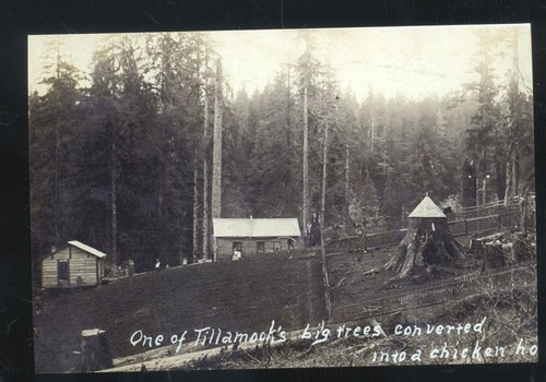 Real photo tillamook oregon - tillamook,