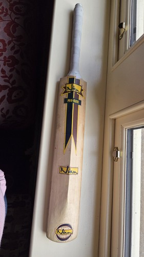 English willow nixon - nixon, pro
