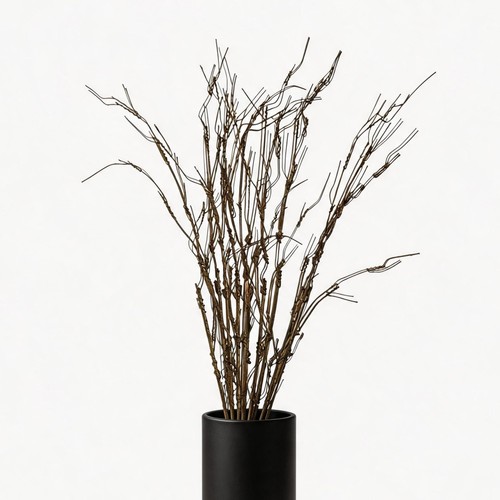Pcs curly willow branches - 10,