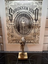 Shrunken head hand made ecuador, animal skin and hair on stand Tsantsa No11