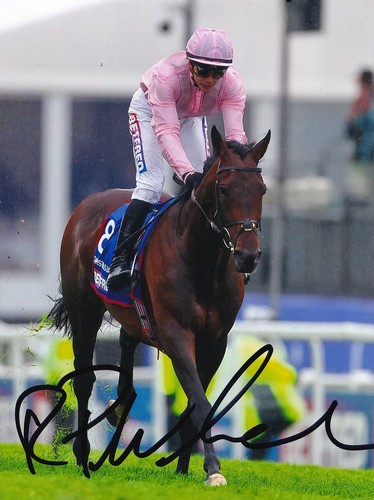 Horse racing ronan - -, whelan