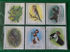 ORIGINAL SET OF CADBURY 99