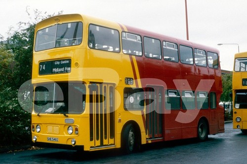 Bus photo midland fox - photo,