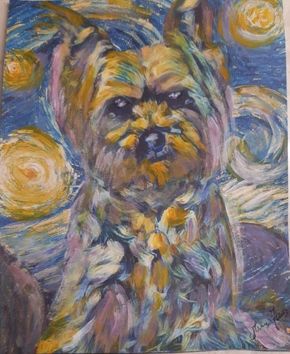 Yorkshire terrier dog original - terrier,